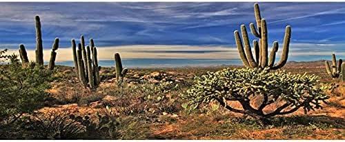 AWERT 24x12 inča pozadina terarija Joshua Drvo plavo nebo ogroman kaktus oaza pustinja Gobi stanište gmizavaca pozadina vinil