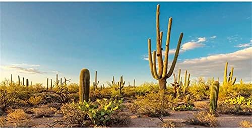 Strašno sunce i pustinjska teratura Pozadina plavog neba Oasis Cactus Reptile stanište Pozadina 72x18 inča Poliesterska pozadina