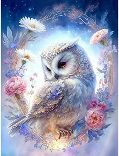 Whitelotous Owl Diamond painting Kits, White Owl Flowers dijamantske slike za odrasle djecu početnika, 5D DIY okrugla puna bušilica
