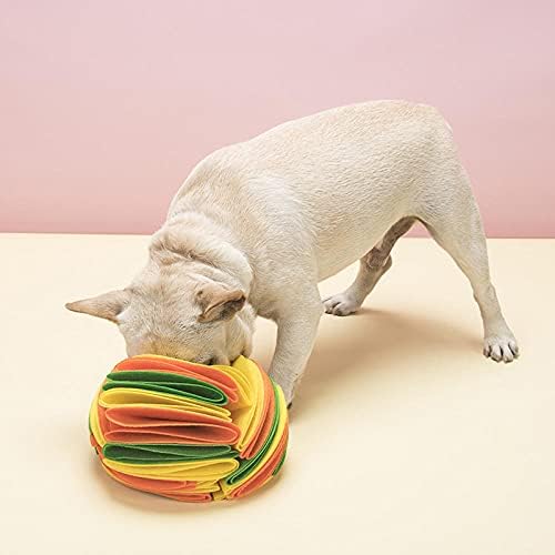 Dog njuškanje kuglice s hranom šarenim kućnim ljubimcima za velike srednje pse smiješno štene žvakačke igračke Puzzle Dog - izbjegava