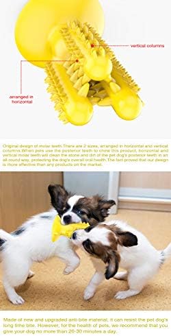 Pas za zube za zube, igračka u obliku kaktusa, čistačica za pse, čišćenje zubnih igračaka sa pamučnim konopom za pse, štenad i agresivne