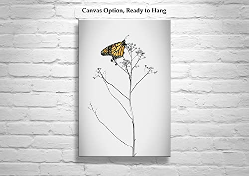 Slika leptira monarha minimalistička Umjetnost Murraya Boleste