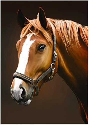 Naimoer Konjski dijamantni setovi za odrasle, puna brilijantna brilijana slikanje konja DIY 5D životinje Dijamantni setovi za oslikanje