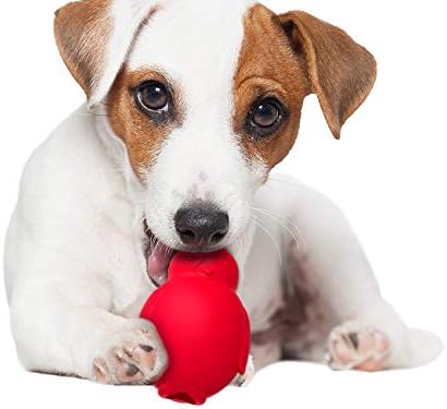 Gucho izdržljiva prirodna gumena igračka, najteža prirodna guma, klasična igračka za pse za agresivne žvakače - zabavno za žvakanje, jurnjava i dohvaćanje